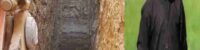 An Afghan child trapped in a well for three days could not be rescued
