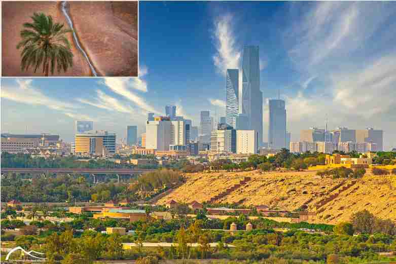 Google Map Mistakes Change Saudi Photographer Fate