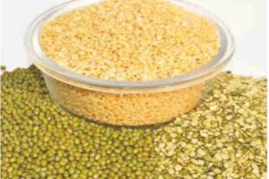 Peanuts Nutritional treatment of cholesterol and high blood pressure