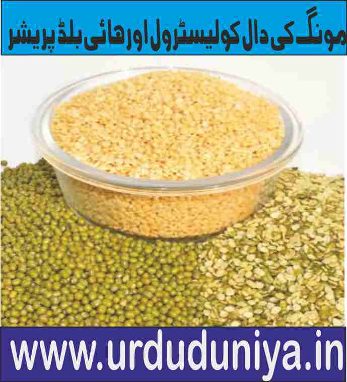 Peanuts Nutritional treatment of cholesterol and high blood pressure