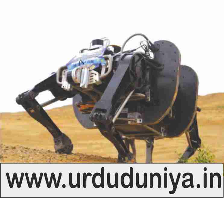 china-develops-worlds-largest-robot-bull