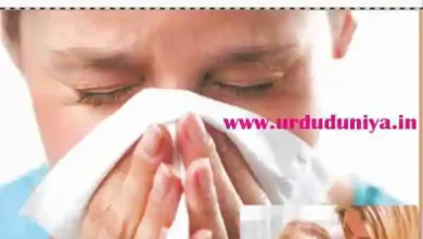 dust allergy urdu