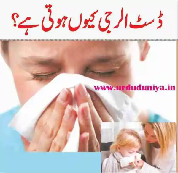 dust allergy urdu