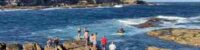 fatal shark attack Bay-Beach-Sydney