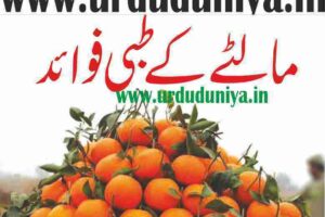 medical-benefits-of-malta