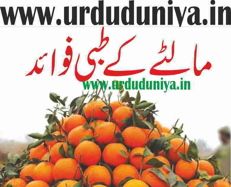 medical-benefits-of-malta