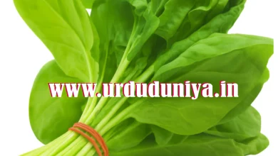 spinach side effects