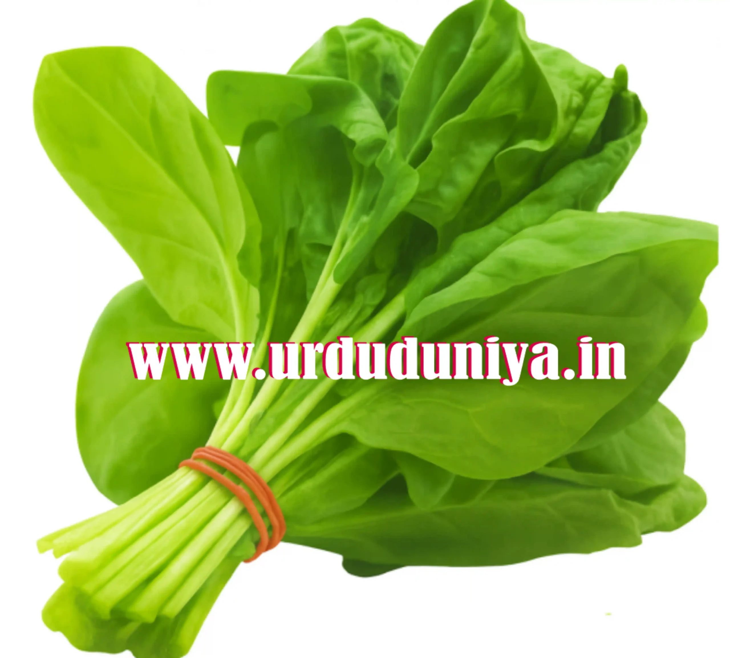 spinach side effects