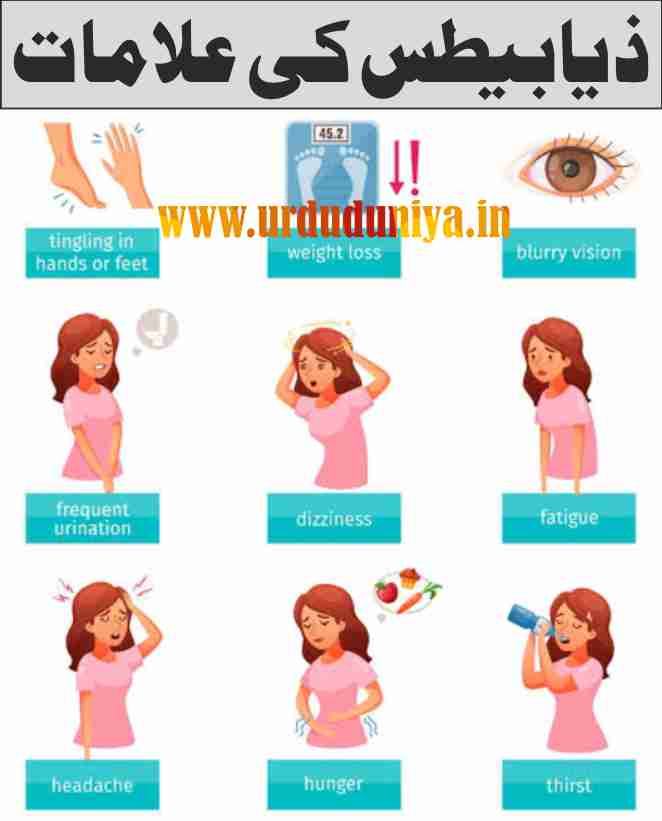 Diabetes Information - Symptoms, Causes and Prevention - Diabetes Diet Tips -