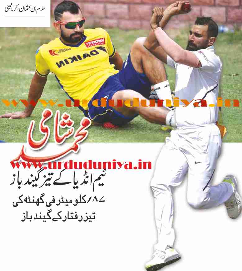 Mohammed- Shami -team-indias-fast-bowler