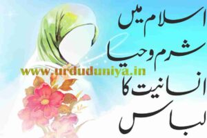 Shame and modesty are the clothes of humanity in Islam