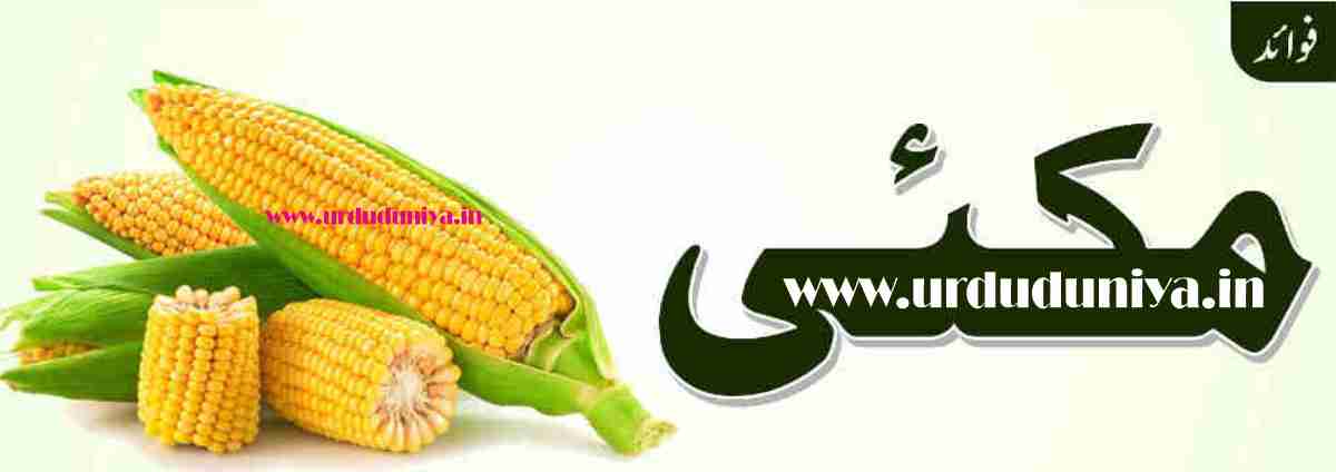 benefits-of-corn