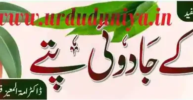 benefits of mango leaves in traditional remedies