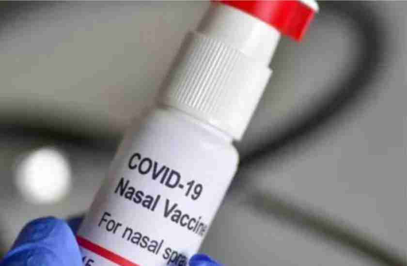 bharat biotech covid-19 nasal vaccine