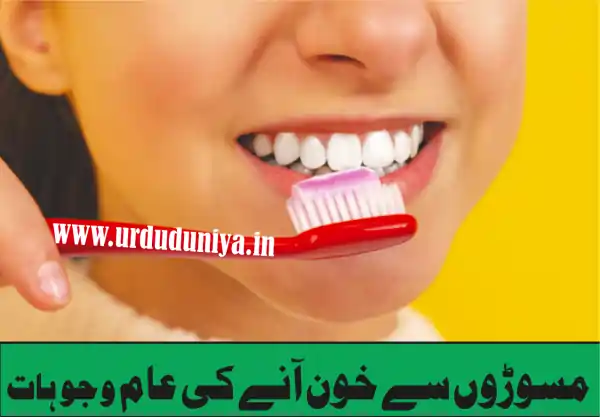 bleeding gums causes treatment