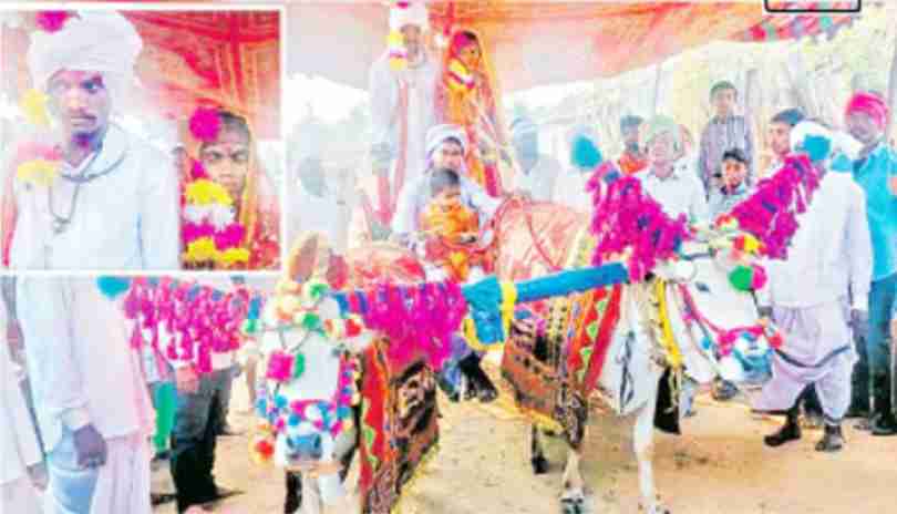 bull cart بیل بنڈی