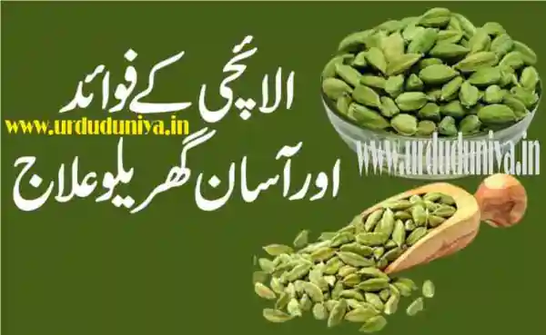 cardamom health benefits urdu