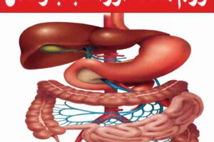 inflammation-of-the-stomach-and-its-causes-and-treatment
