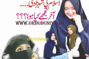 princess-of-islam-what-happened-to-you