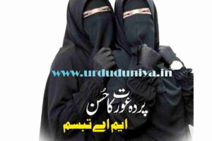 the-veil-is-a-womans-beauty