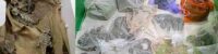united-states-more-than-1700-reptile-smugglers-arrested