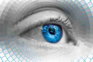 camera technology Animal-eye-camera-lens