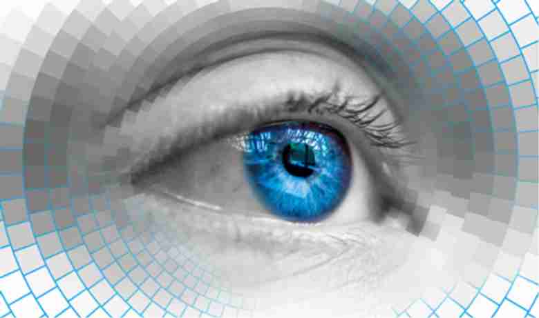 camera technology Animal-eye-camera-lens