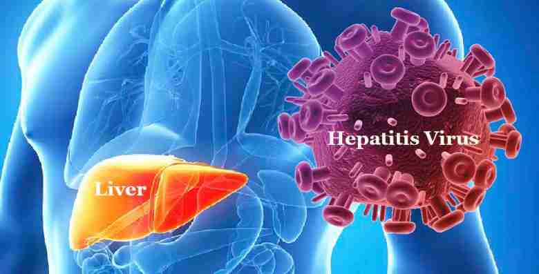 LIVER-HEAPATITIS