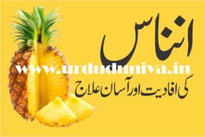 Pineapple -Ananas