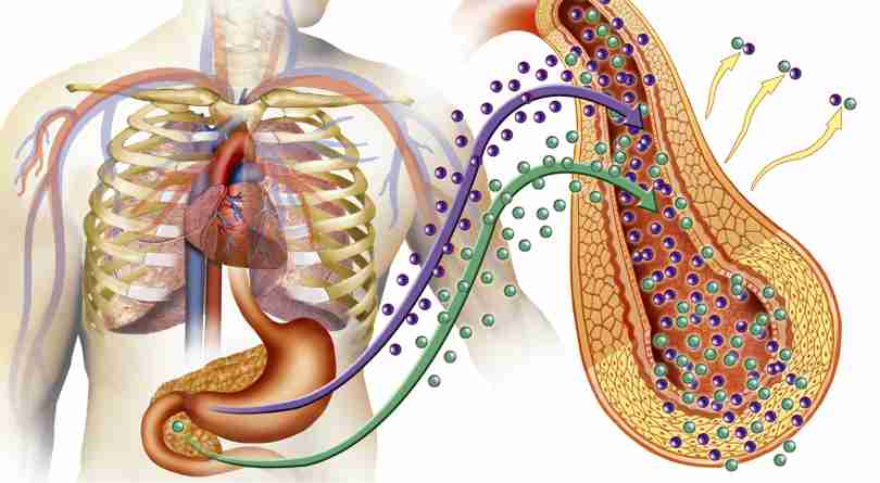 Ultrasound can also be used to treat diabetes research says