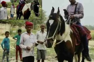 an-employee-of-the-energy-department-disturbed-by-the-expensive-petrol-took-the-help-of-a-horse-for-work