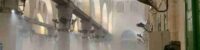 israeli-beasts-kill-palestinians-at-al-aqsa-mosque-152-wounded