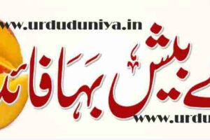 mango-the-king-of-fruits-has-incredible-health-benefits