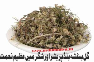 violet-flower-Gule-Banafsa-is-a-great-blessing-in-blood-pressure-and-sugar