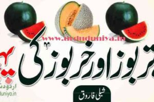 identification of sweet watermelon and muskmelon