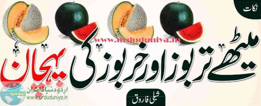 identification of sweet watermelon and muskmelon