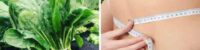 lose weight with a cup of spinach