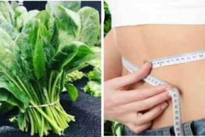 lose weight with a cup of spinach
