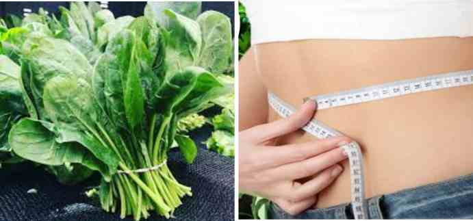 lose weight with a cup of spinach