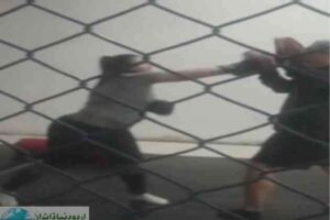 rayme mccoy woman attacked man arlington gas