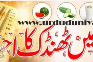 fruits for heat
