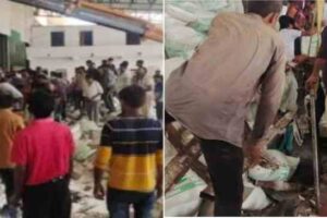 gujarat 3 killed 3 injured in salt factory wall collapse