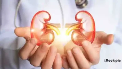 kidney disease symptoms treatment unani
