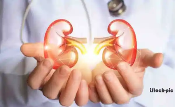 kidney disease symptoms treatment unani
