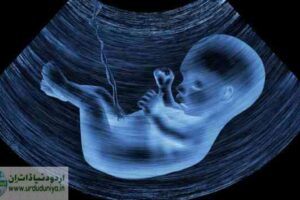 pregnant baby girl
