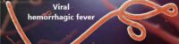 viral hemorrhagic fever