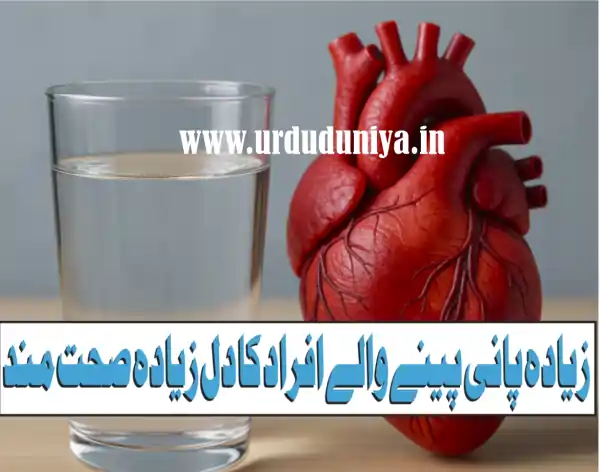 water intake heart health