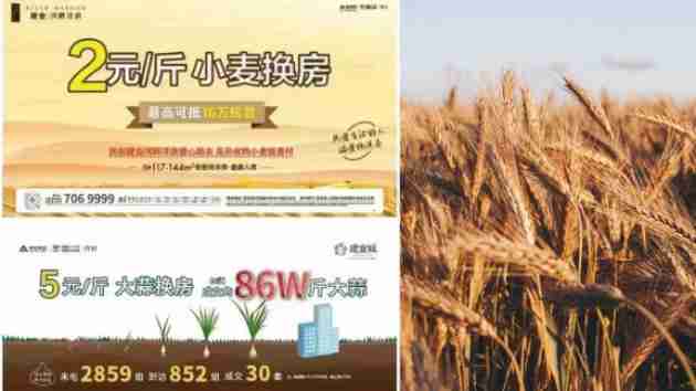 swap wheat for house in china
