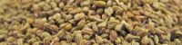 ajwain