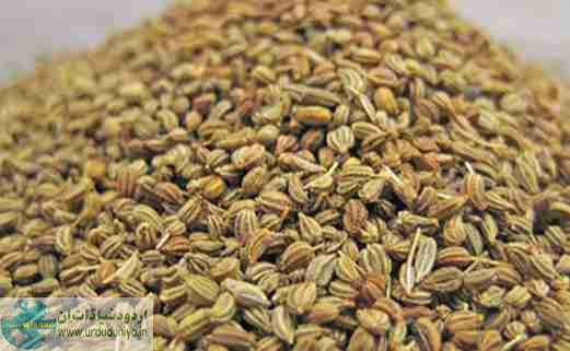 ajwain